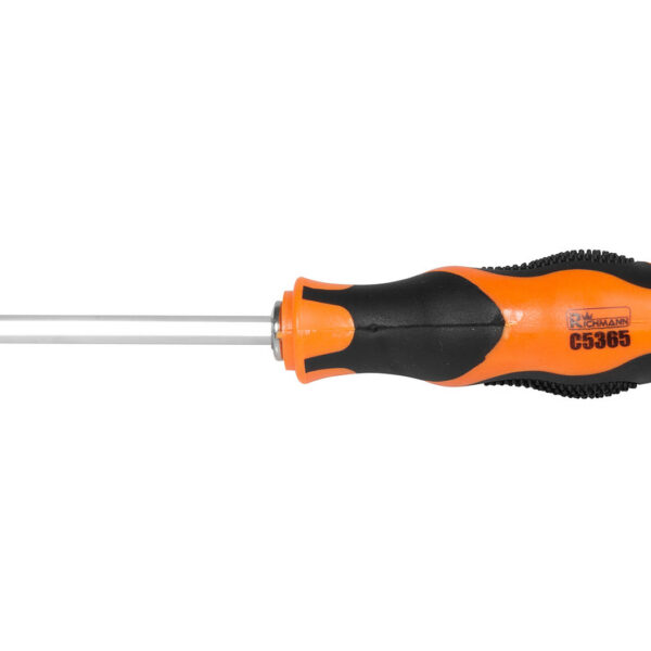 RICHMANN DOUBLE-ENDED SCREWDRIVER