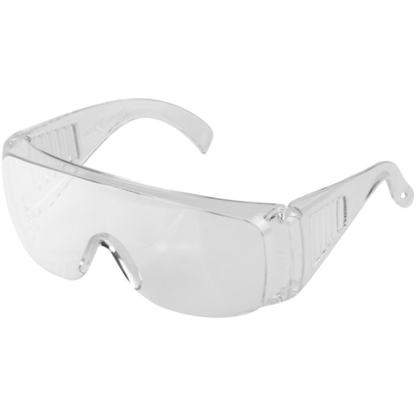 RICHAMANN GOGGLES C0005